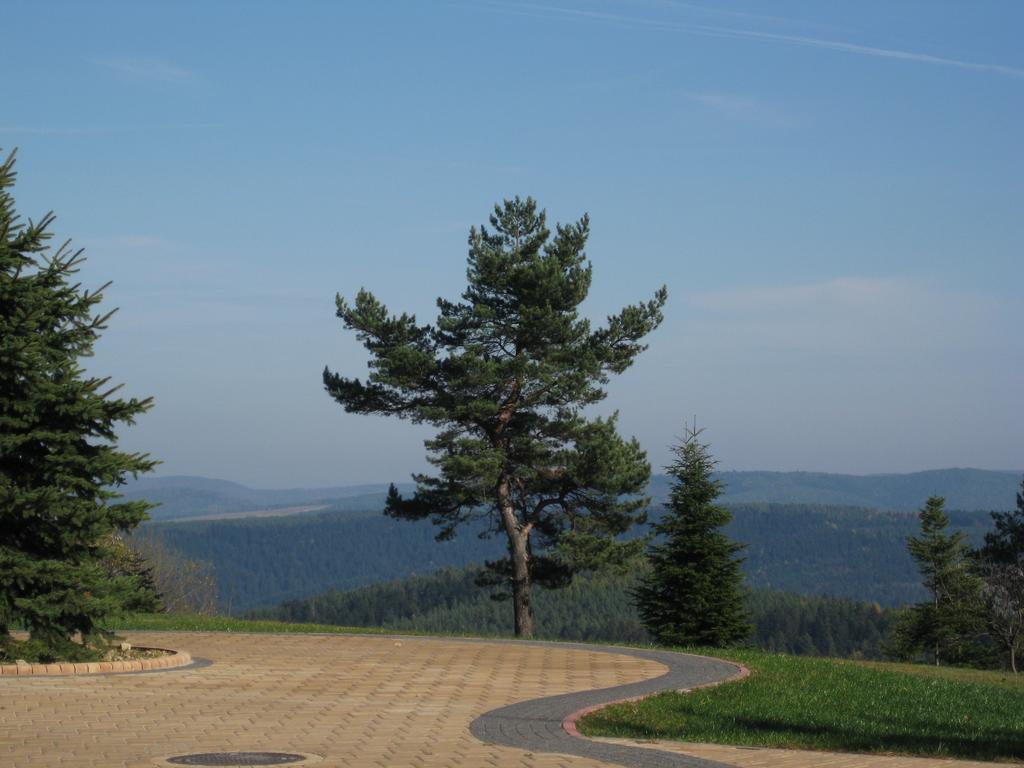 Pensjonat Orle Krynica Zdroj Bagian luar foto